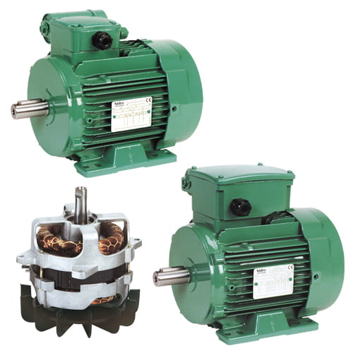 Leroy-Somer · Brand product example: Induction motors · 3 / 5