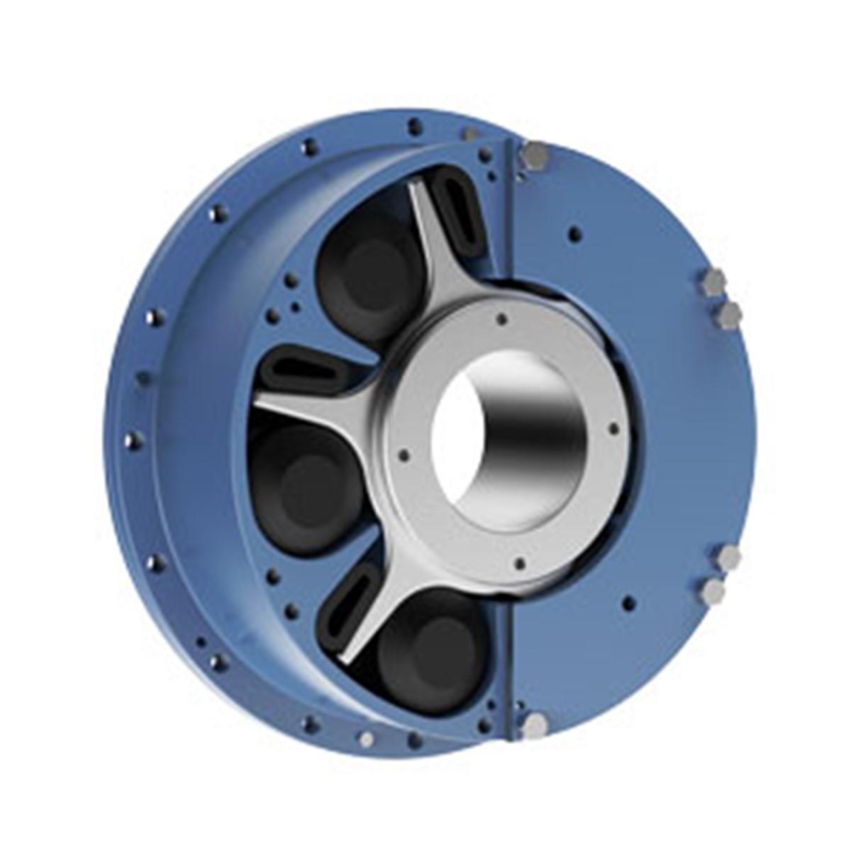 Renold · Brand product example: Elastomeric couplings · 5 / 6