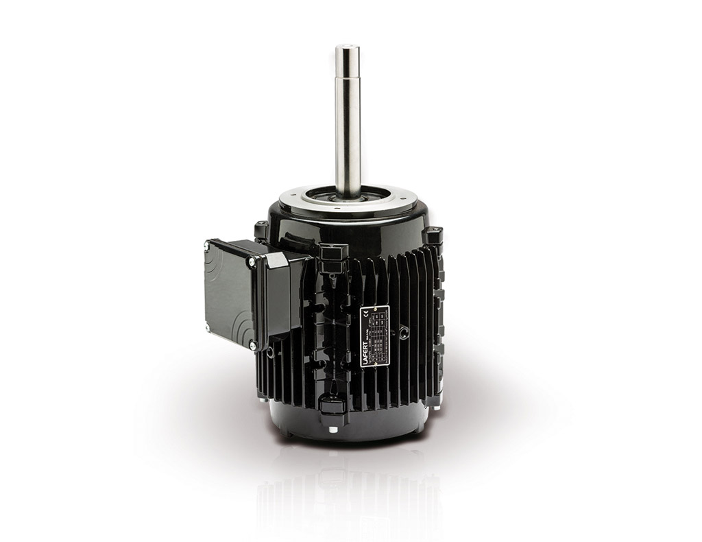 Three-phase motors