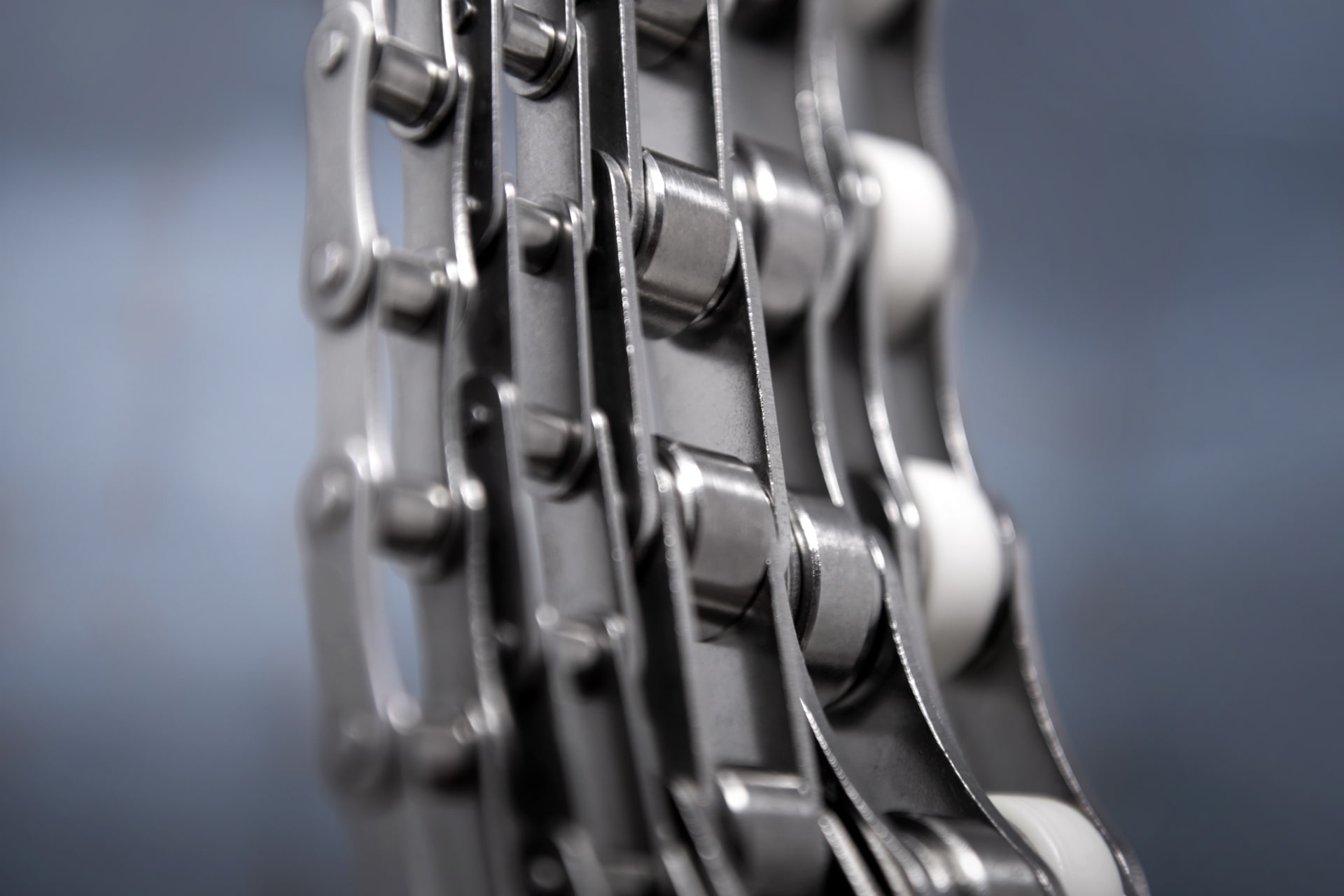 Iris Chains · Brand product example: Double-pitch chains · 1 / 2