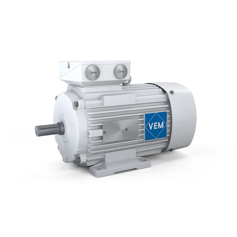 Single-phase motors