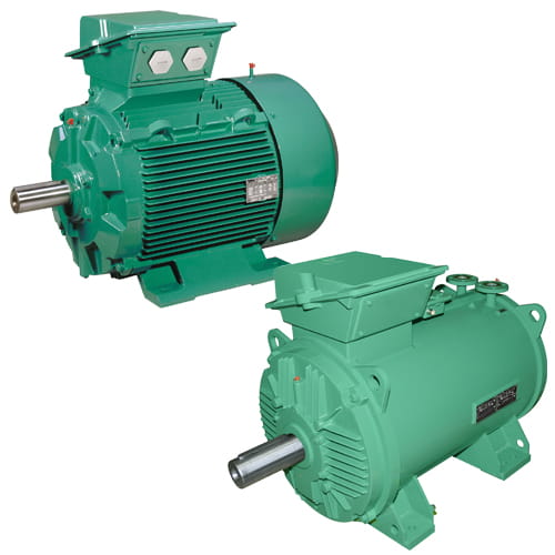 Leroy-Somer · Brand product example: Induction motors · 2 / 5