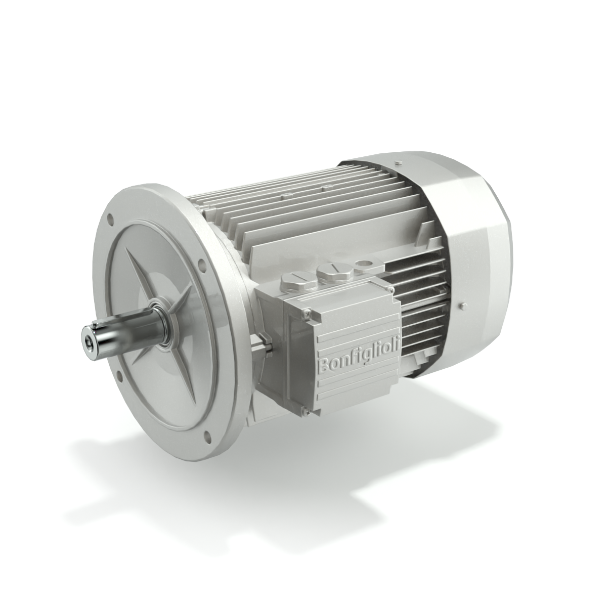 Bonfiglioli · Brand product example: Induction motors · 2 / 2