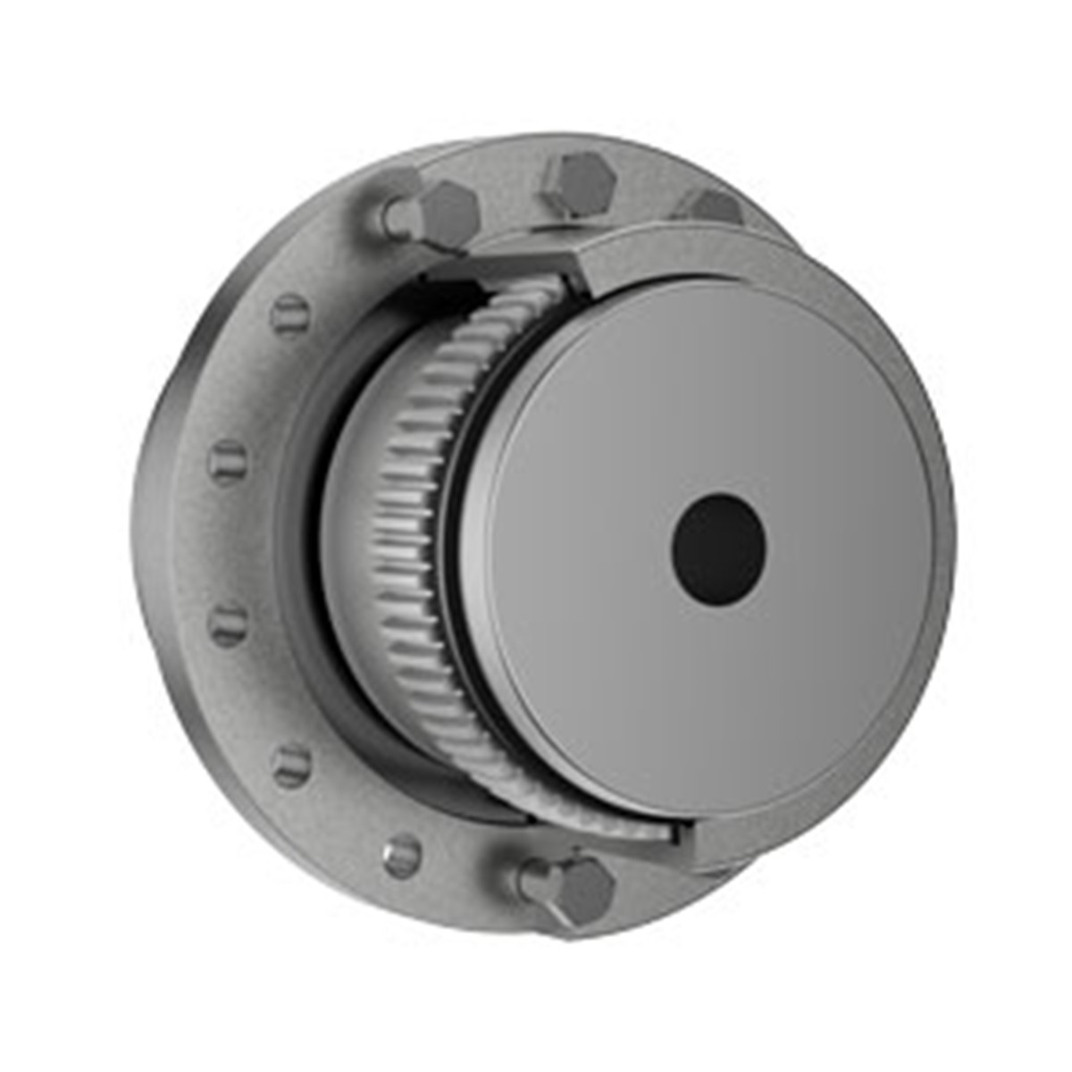 Renold · Brand product example: Gear couplings