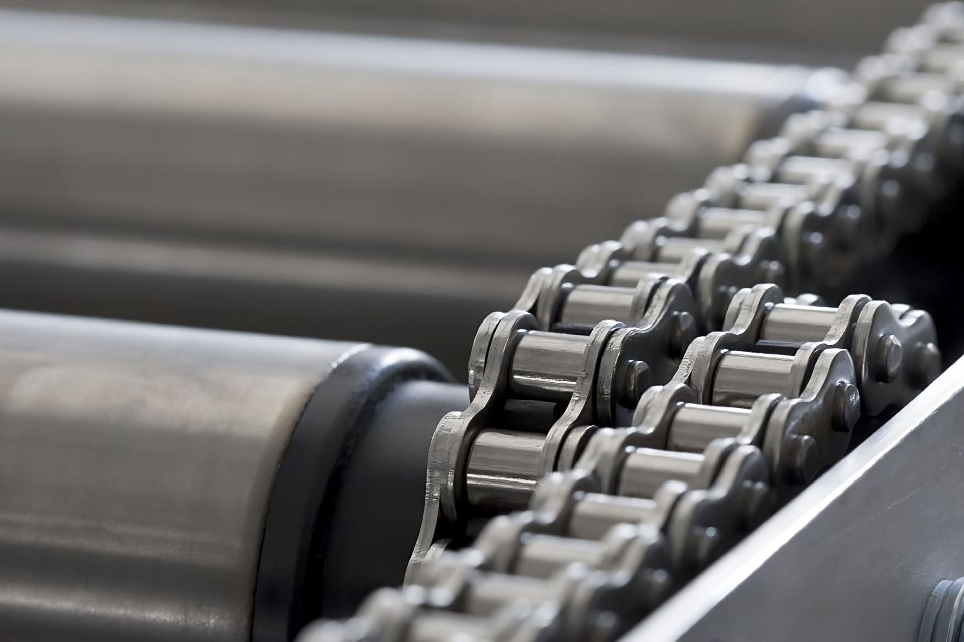 Iris Chains · Brand product example: Roller chains