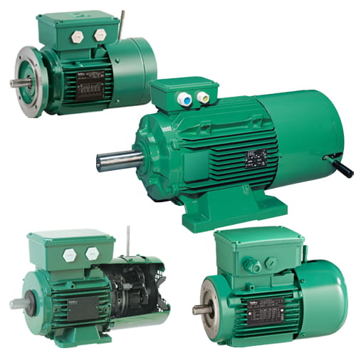 Leroy-Somer · Brand product example: Induction motors · 5 / 5