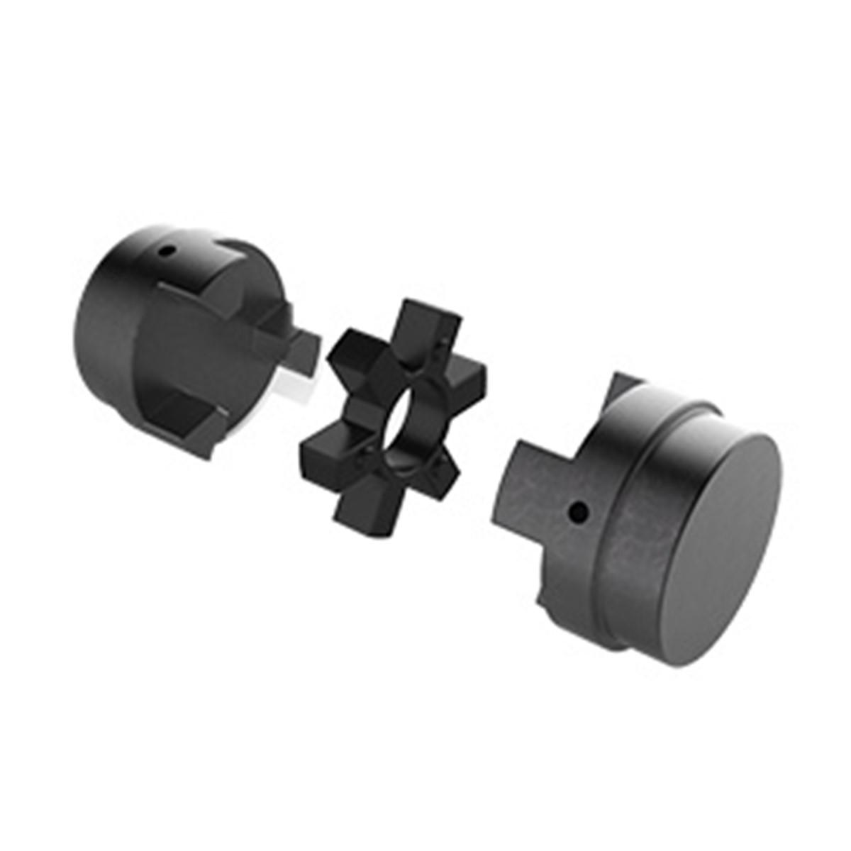 Renold · Brand product example: Jaw couplings · 2 / 2