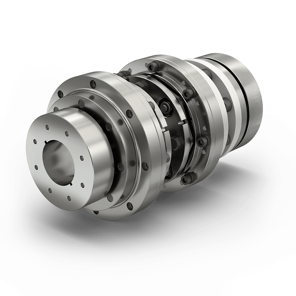 REICH · Brand product example: Disc pack couplings · 2 / 2
