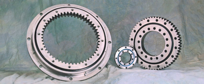 Kaydon · Brand product example: Slewing bearings