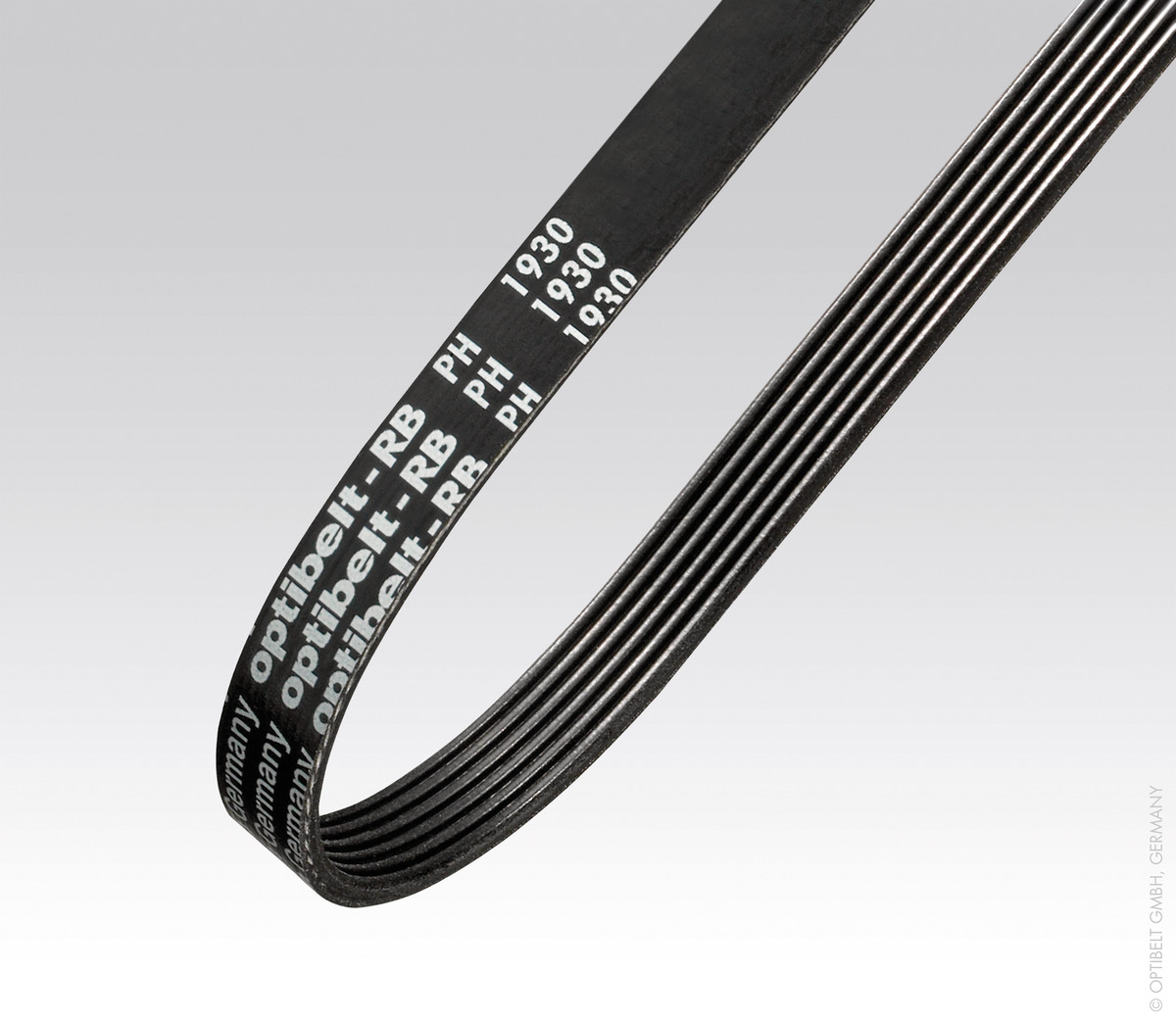 Optibelt · Brand product example: Poly-V / V-ribbed belts